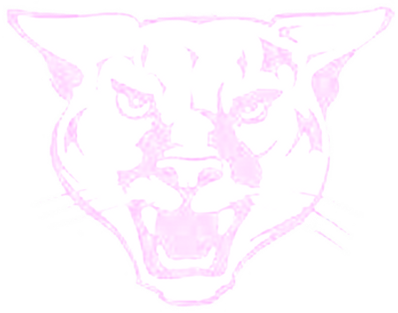  Panther rendering 